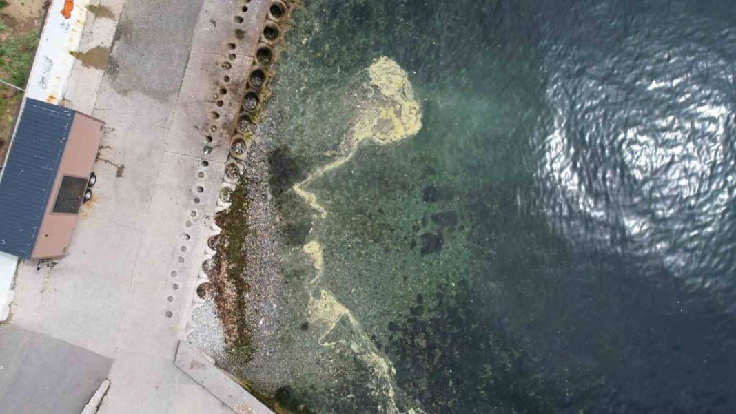 İstanbul'da bu semtleri terk edin! Uzman isim tarih verdi: Felaket üstüne felaket! 5